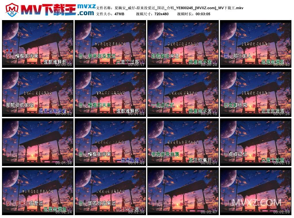 夏婉安_威仔-原来没爱过_国语_合唱_YE800245
